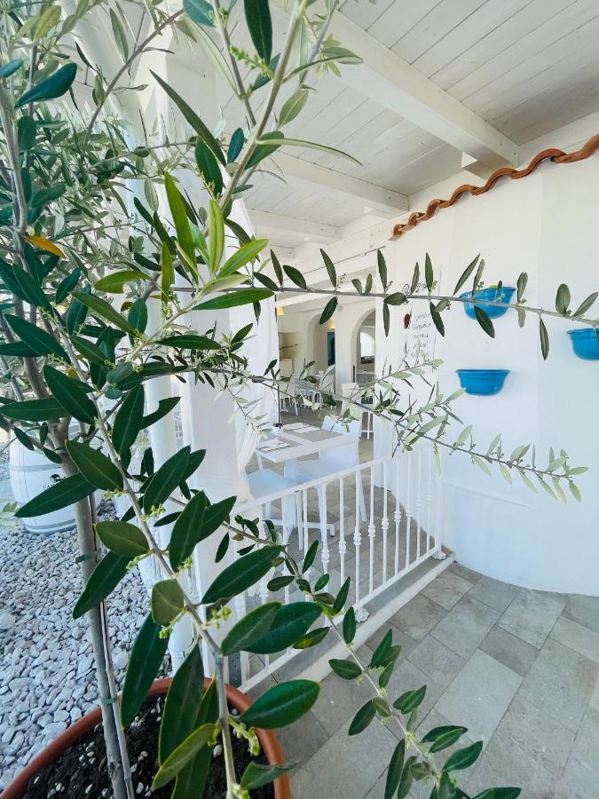 B&B Villa D'Amato Peschici Eksteriør billede